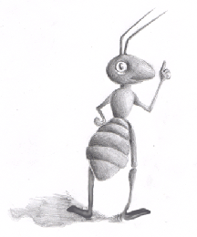 Fourmis - conception graphique